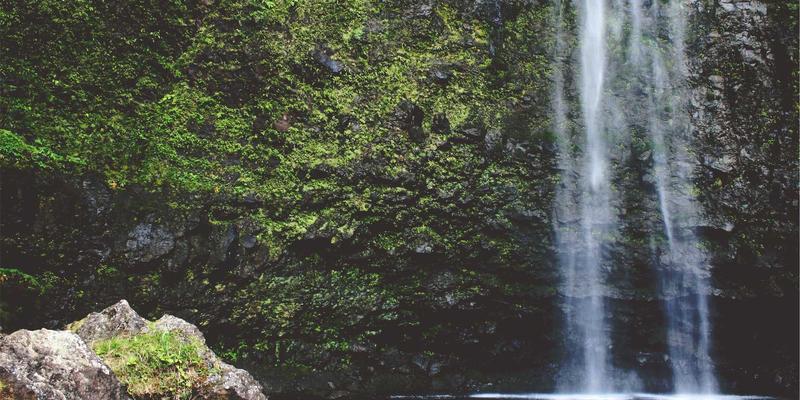 Chemical Materials 38：高性能化学品如何通过优质供应商推动产业创新