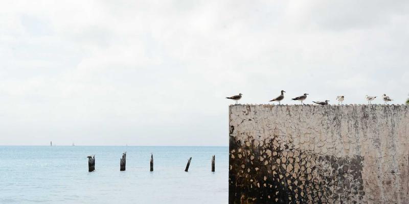 Chemical Materials 52：现代工业的基石与创新前沿