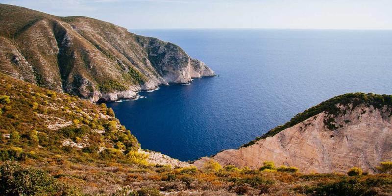 仿生矿化材料：骨骼与牙科修复的工业原材料新纪元