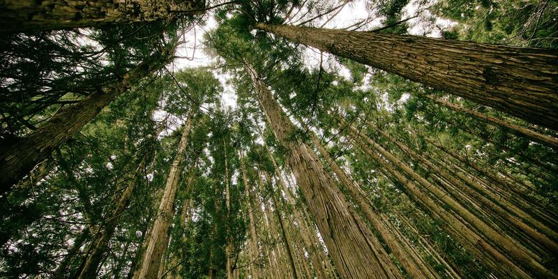 化学材料39:现代工业的基石与创新前沿