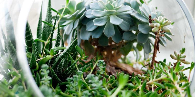 化学材料新突破：金属有机框架材料如何革新工业二氧化碳捕获技术