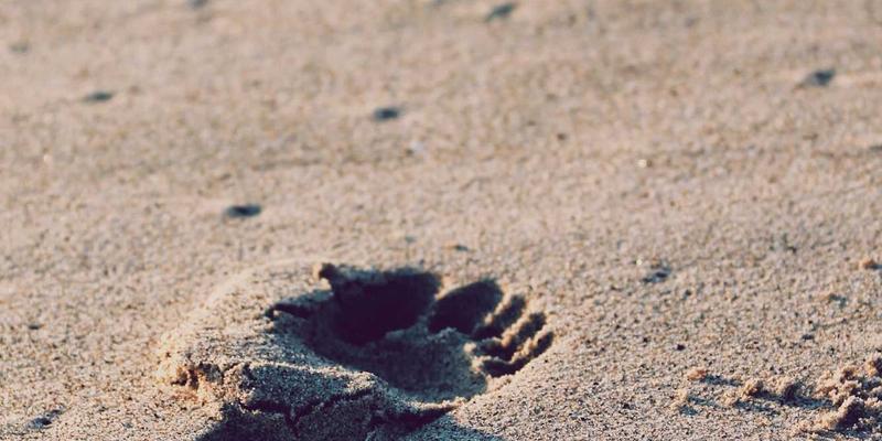 工业级MXene二维材料：柔性电子与电磁屏蔽领域的革命性工业化学品与原材料