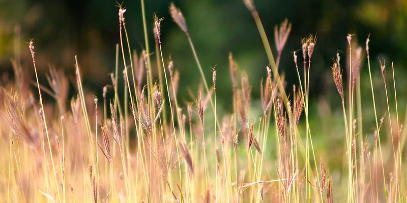 智能响应水凝胶：组织工程与伤口敷料的革命性材料 | KTCCL工业原料化学供应商视角