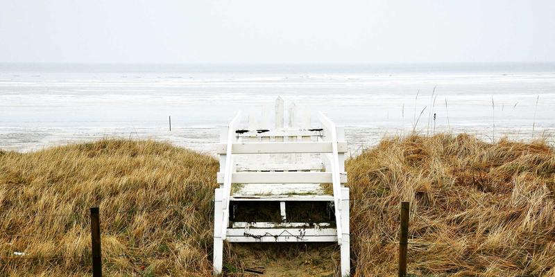 柔性显示革命背后的化学基石：可拉伸导体与介电层关键原料的创新